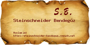 Steinschneider Bendegúz névjegykártya